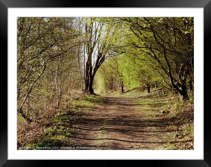 Wooded Path Framed Mounted Print by Tom Curtis