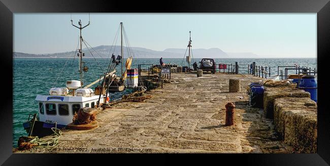 A Working Quay Lyme Regis Framed Print by Peter F Hunt