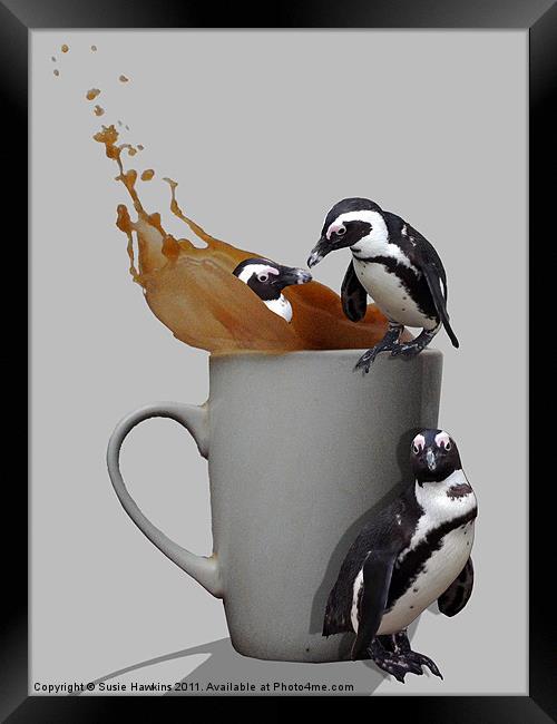 Tea Break - Pick up a penguin Framed Print by Susie Hawkins