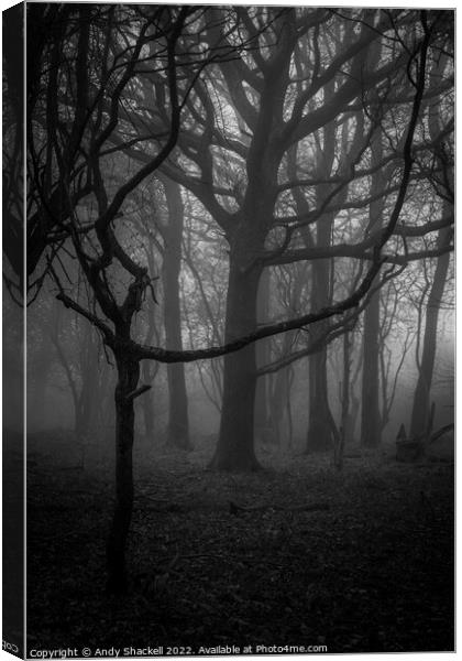 The black wood Canvas Print by Andy Shackell