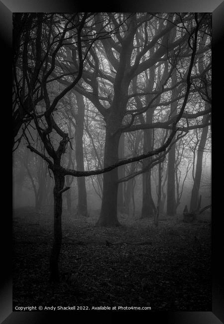 The black wood Framed Print by Andy Shackell