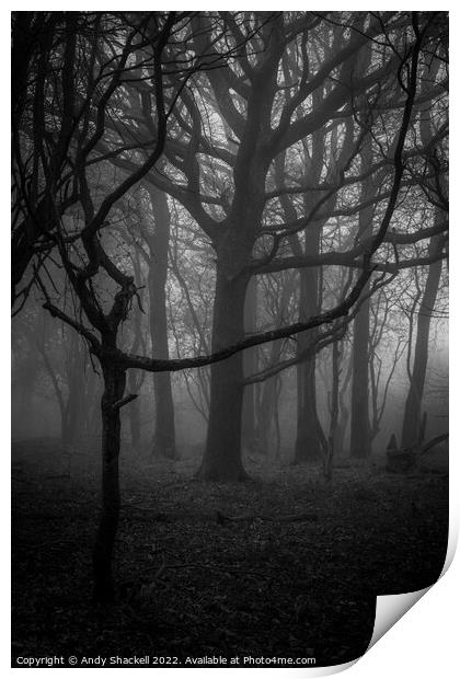 The black wood Print by Andy Shackell