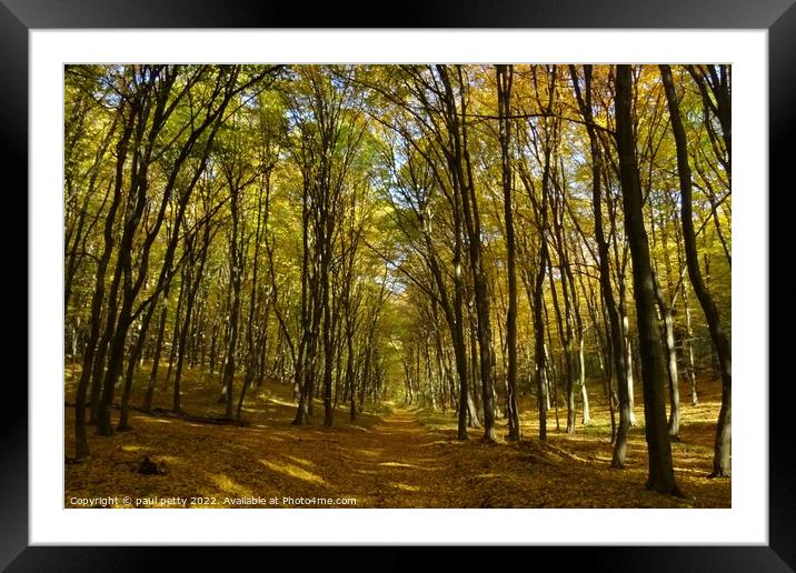 Autumn Woodlands, Slovakia Framed Mounted Print by paul petty