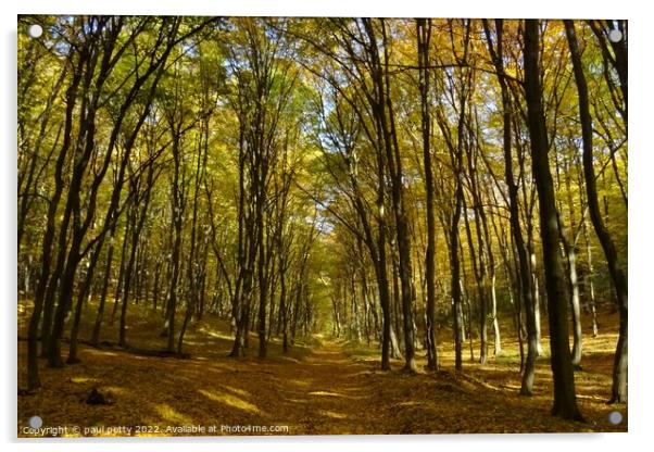Autumn Woodlands, Slovakia Acrylic by paul petty