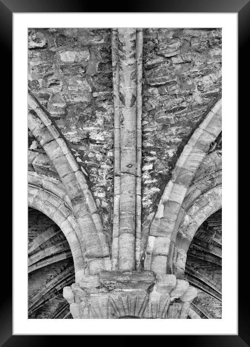 Cistercian architecture Cloisters Mono Framed Mounted Print by Glen Allen