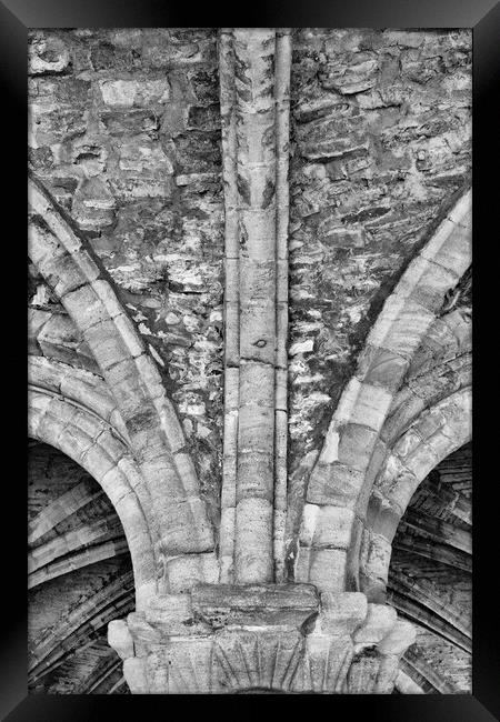 Cistercian architecture Cloisters Mono Framed Print by Glen Allen