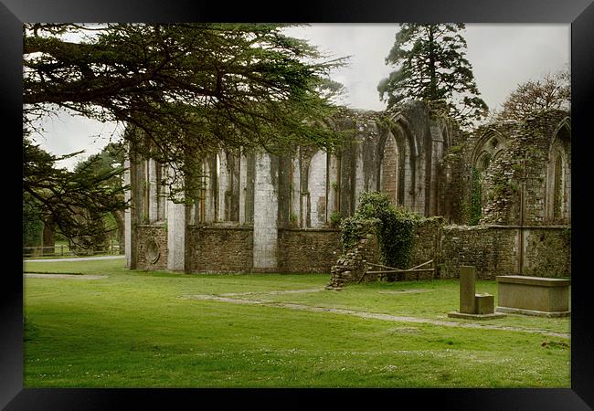 Monastary Ruins at Margam County Park Framed Print by Julie Hoddinott