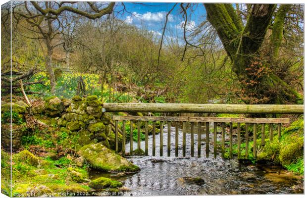Dartmoor stream and Easter Daffodils   Canvas Print by Roger Mechan