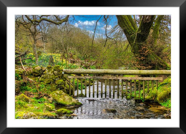 Dartmoor stream and Easter Daffodils   Framed Mounted Print by Roger Mechan