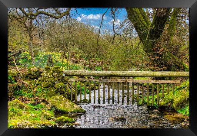 Dartmoor stream and Easter Daffodils   Framed Print by Roger Mechan