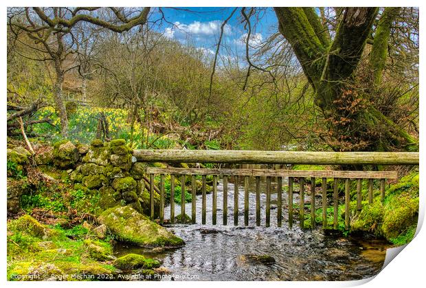 Dartmoor stream and Easter Daffodils   Print by Roger Mechan