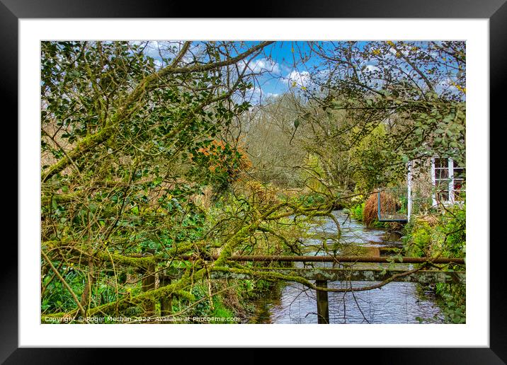 Small Dartmoor stream running through mossy trees Framed Mounted Print by Roger Mechan