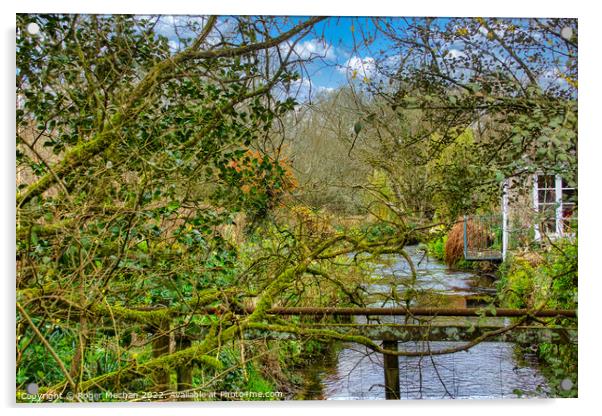 Small Dartmoor stream running through mossy trees Acrylic by Roger Mechan