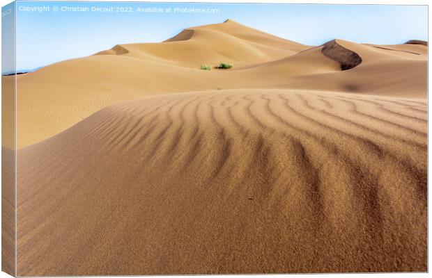 Erg Chebbi, sand desert of Merzouga, southeast of Morocco. Canvas Print by Christian Decout
