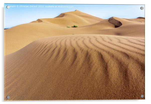Erg Chebbi, sand desert of Merzouga, southeast of Morocco. Acrylic by Christian Decout
