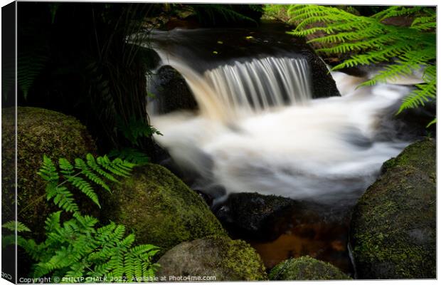 Babbling brook in the peak district 695 Canvas Print by PHILIP CHALK