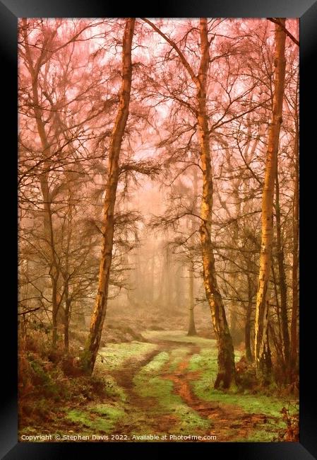 Misty Woodland Framed Print by Stephen Davis