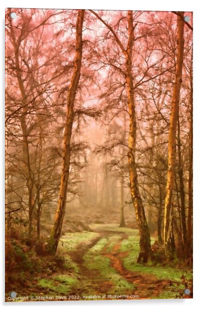 Misty Woodland Acrylic by Stephen Davis