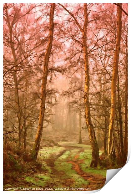 Misty Woodland Print by Stephen Davis