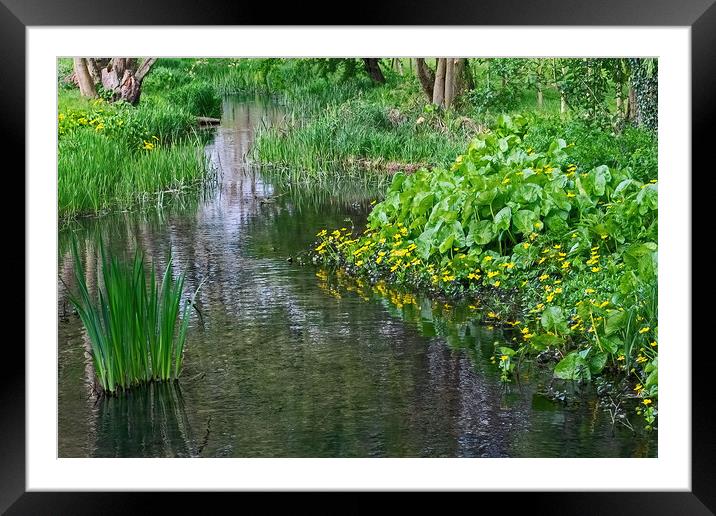 The River Pang in Springtime Framed Mounted Print by Joyce Storey