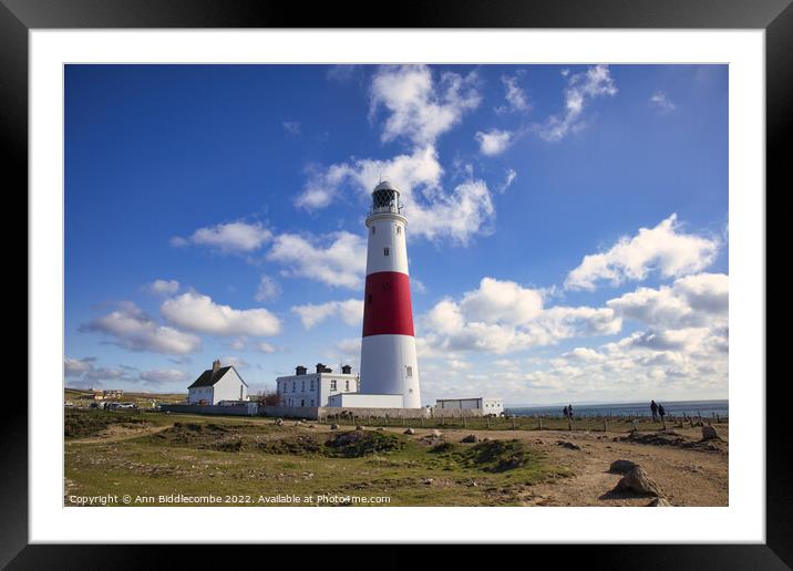 Portland Bill's iconic lighthouse Framed Mounted Print by Ann Biddlecombe
