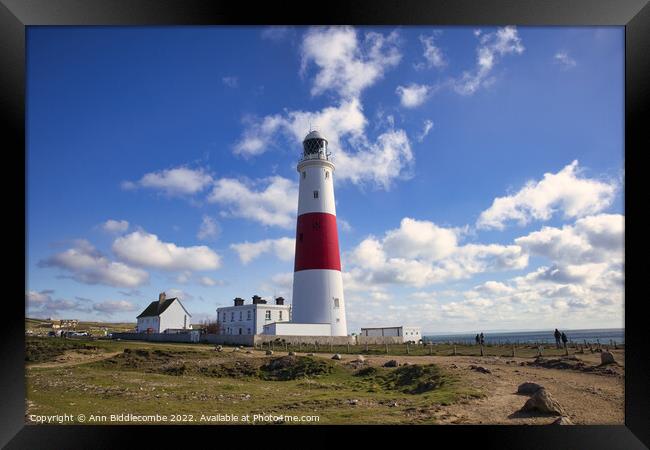 Portland Bill's iconic lighthouse Framed Print by Ann Biddlecombe