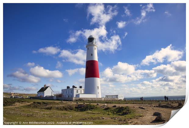 Portland Bill's iconic lighthouse Print by Ann Biddlecombe