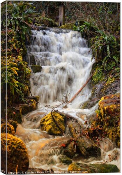 Badger Dingle waterfall Canvas Print by Stephen Davis