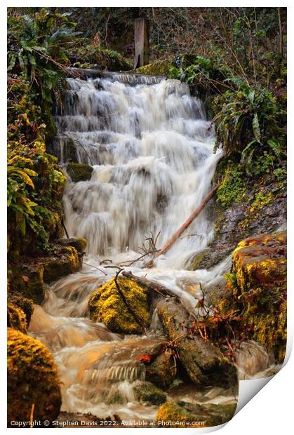 Badger Dingle waterfall Print by Stephen Davis