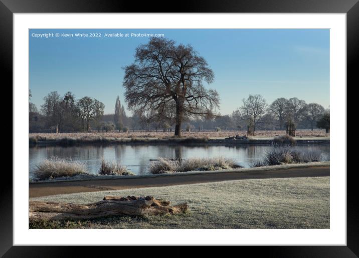 Log and frost Framed Mounted Print by Kevin White