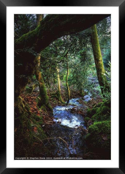 Church Stretton woodland stream Framed Mounted Print by Stephen Davis