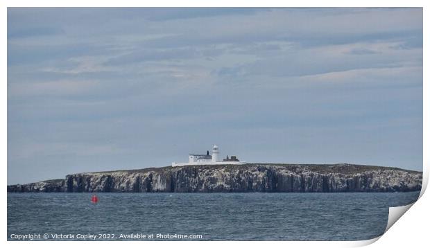 Inner Farne Lighthouse Print by Victoria Copley