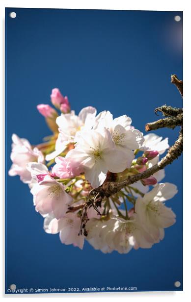 Cotswold  Blossom Acrylic by Simon Johnson