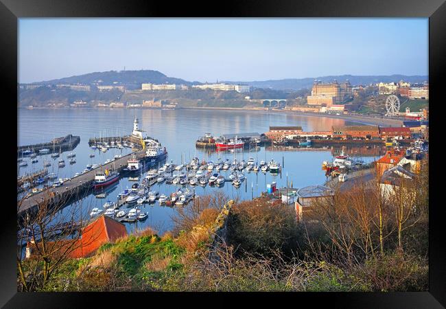 Scarborough  Harbour View, North Yorkshire Framed Print by Darren Galpin