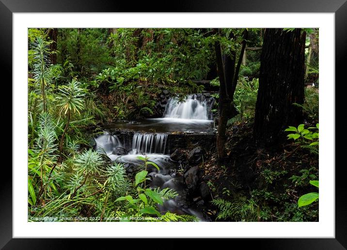 A Rainforest Stream Framed Mounted Print by Shaun Sharp