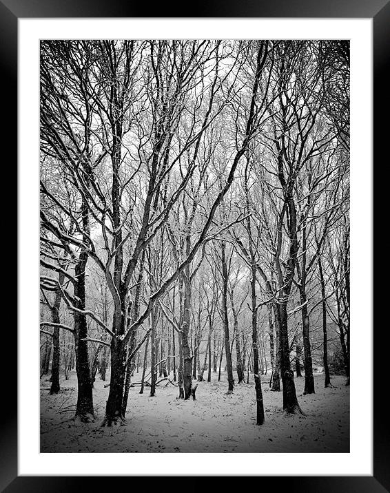 In the deep midwinter Framed Mounted Print by Marcus Scott