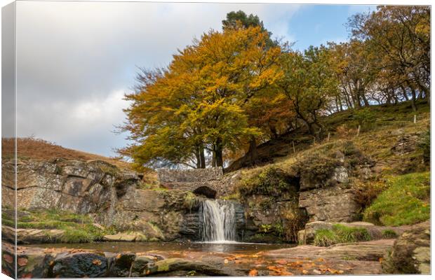Golden colours at Three Shires Head Canvas Print by Jason Wells