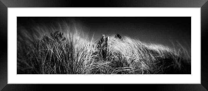 a moments peace and quiet Framed Mounted Print by Marcus Scott