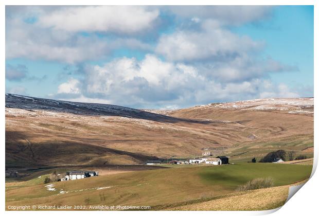 Harwood Farms, Upper Teesdale Print by Richard Laidler