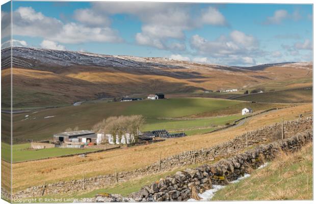 Harwood Farms, Upper Teesdale (2) Canvas Print by Richard Laidler