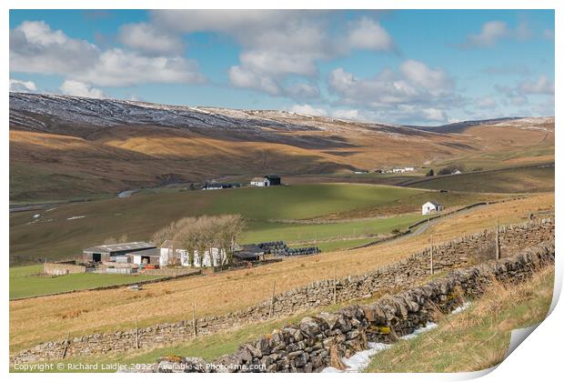 Harwood Farms, Upper Teesdale (2) Print by Richard Laidler