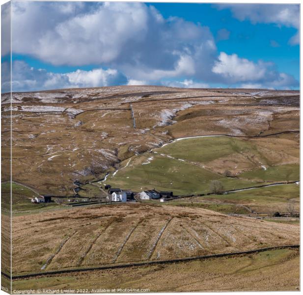 Marshes Gill Farm, Harwood, Teesdale (2) Canvas Print by Richard Laidler