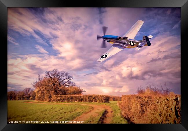 Low Mustang Framed Print by Ian Merton