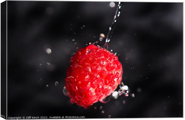 Raspberry drenched Canvas Print by Cliff Kinch