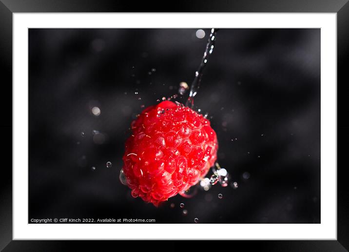 Raspberry drenched Framed Mounted Print by Cliff Kinch