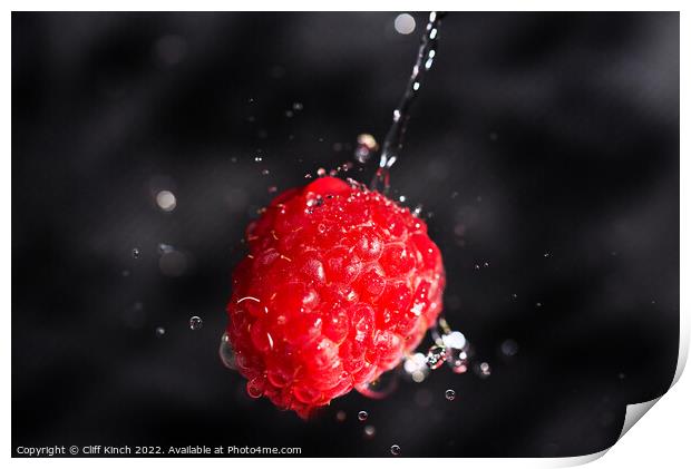 Raspberry drenched Print by Cliff Kinch