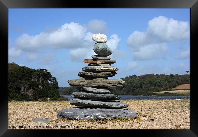 Beach sculpture Framed Print by Terri Waters