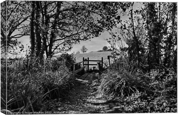 Tranquil Pathway through Woodland Canvas Print by Roger Mechan
