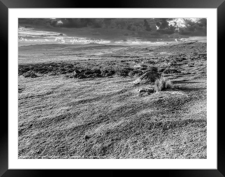 Monochrome Wilderness Framed Mounted Print by Roger Mechan