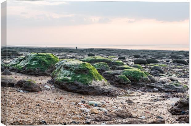 Rocky beach, Hunstanton Canvas Print by Chris Yaxley